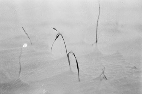 18-year Old French Boy Meets Far North Siberia Emile Hyperion Dubuission, from Siberia. The Far North Series I just came across this young photographer’s work. It struck a very personal note with me.. His images look like visitors in my fam…