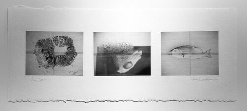 Amherst Biennial - 12 more days 12 more days left until closing of the first Amherst Biennial! There are several special events planned for closing next week.In addition to the regular hours, all the galleries will be open for December Art Walk on T…